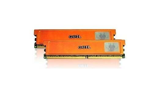 GEIL 4 GB (2x2GB) GX24GB8500C5UDC 240pin DDR2-1066 PC2-8500   #2897