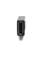 Mini DP Mini DisplayPort zu DisplayPort Adapter Stecker   #41754