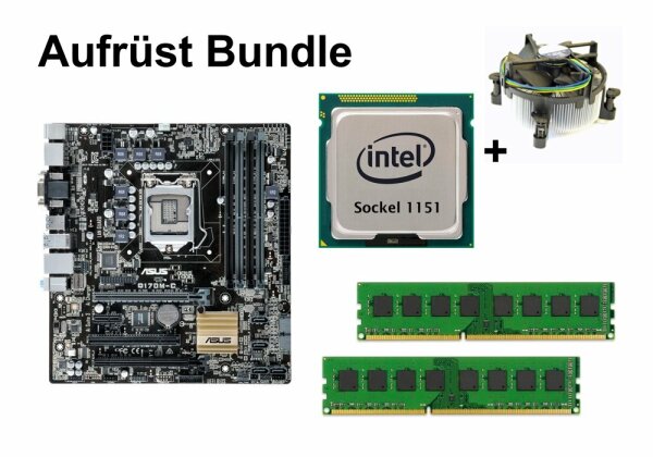 Aufrüst Bundle - ASUS Q170M-C + Intel Celeron G3900 + 32GB RAM #146612