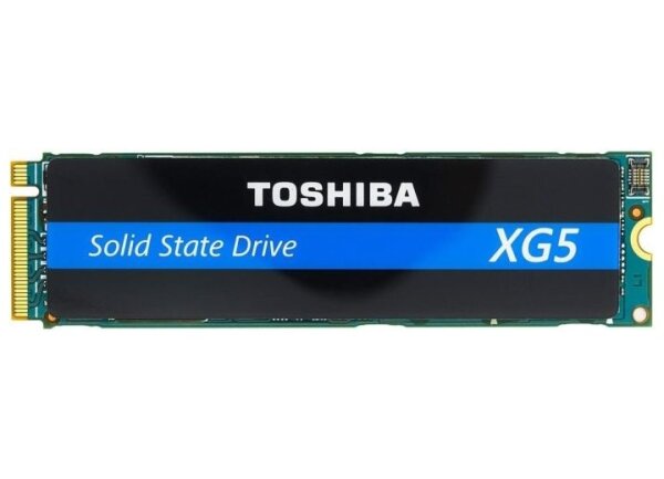 Toshiba XG5 Client SSD 256 GB M.2 2280 NVMe KXG50ZNV256G SSM  #305524