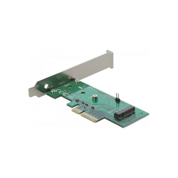 DeLock PCI Express Card > 1 x M.2 NVMe Adapter bis 2280 PCIe x4  #317839