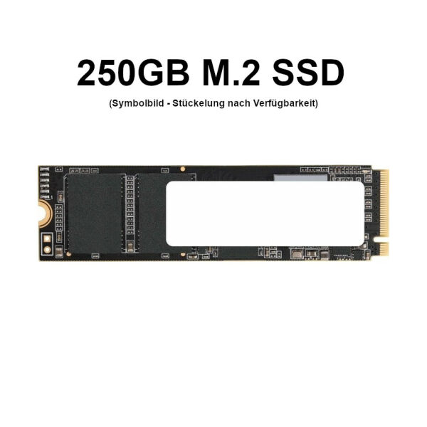 M.2 250GB