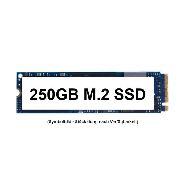 250 GB